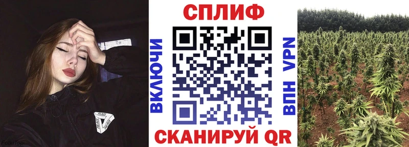 Купить наркотики сайты Дубна Альфа ПВП  Мефедрон  COCAIN  ГАШИШ  MEGA маркетплейс  Канабис 