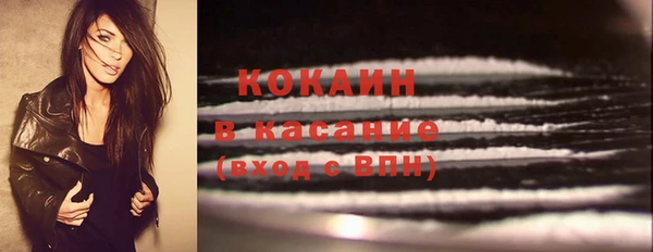 альфа пвп Гусев
