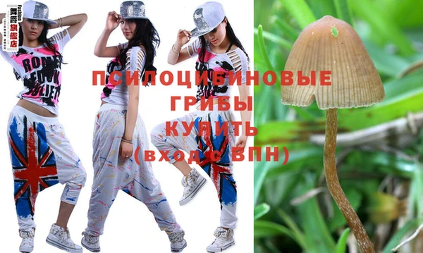 прущие крисы Дмитров