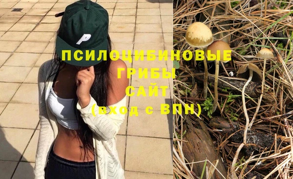 прущие крисы Дмитров